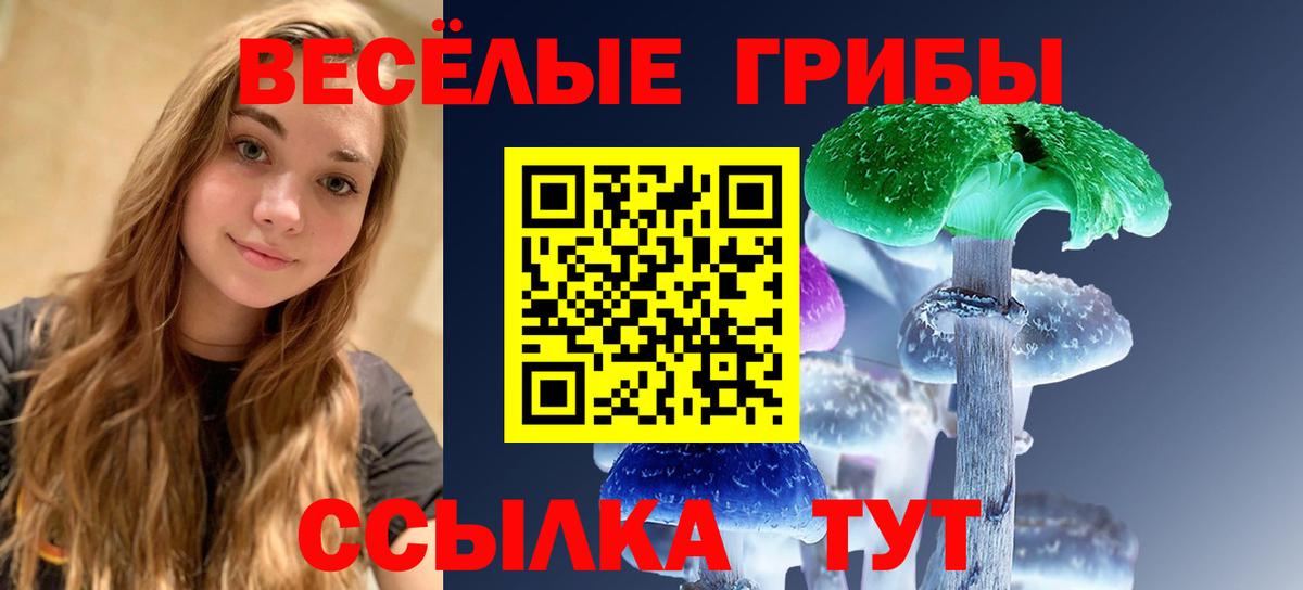 Псилоцибиновые грибы Cubensis  Псилоцибиновые грибы Psilocybe  Нижнекамск  Вход с VPN 